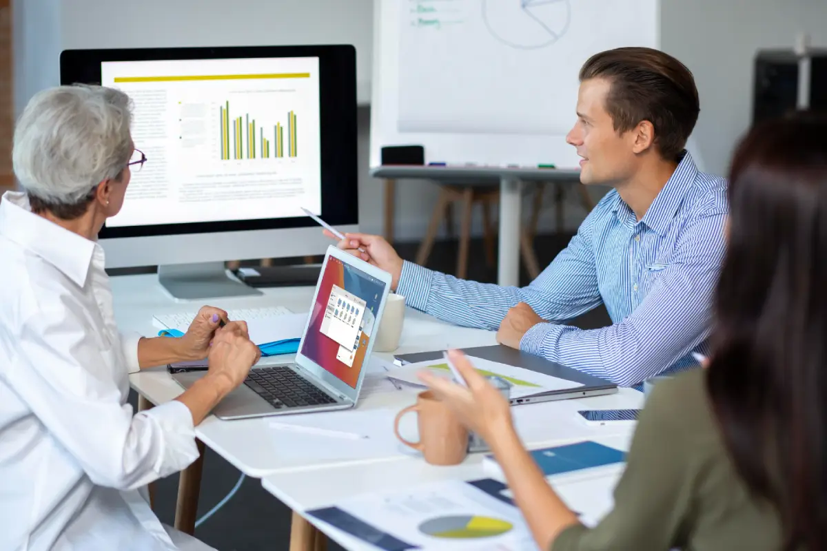ERP Implementation Consultancy